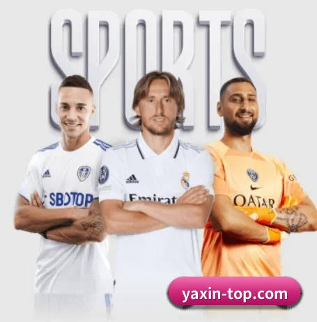 亚新体育 APP 界面 - yaxin